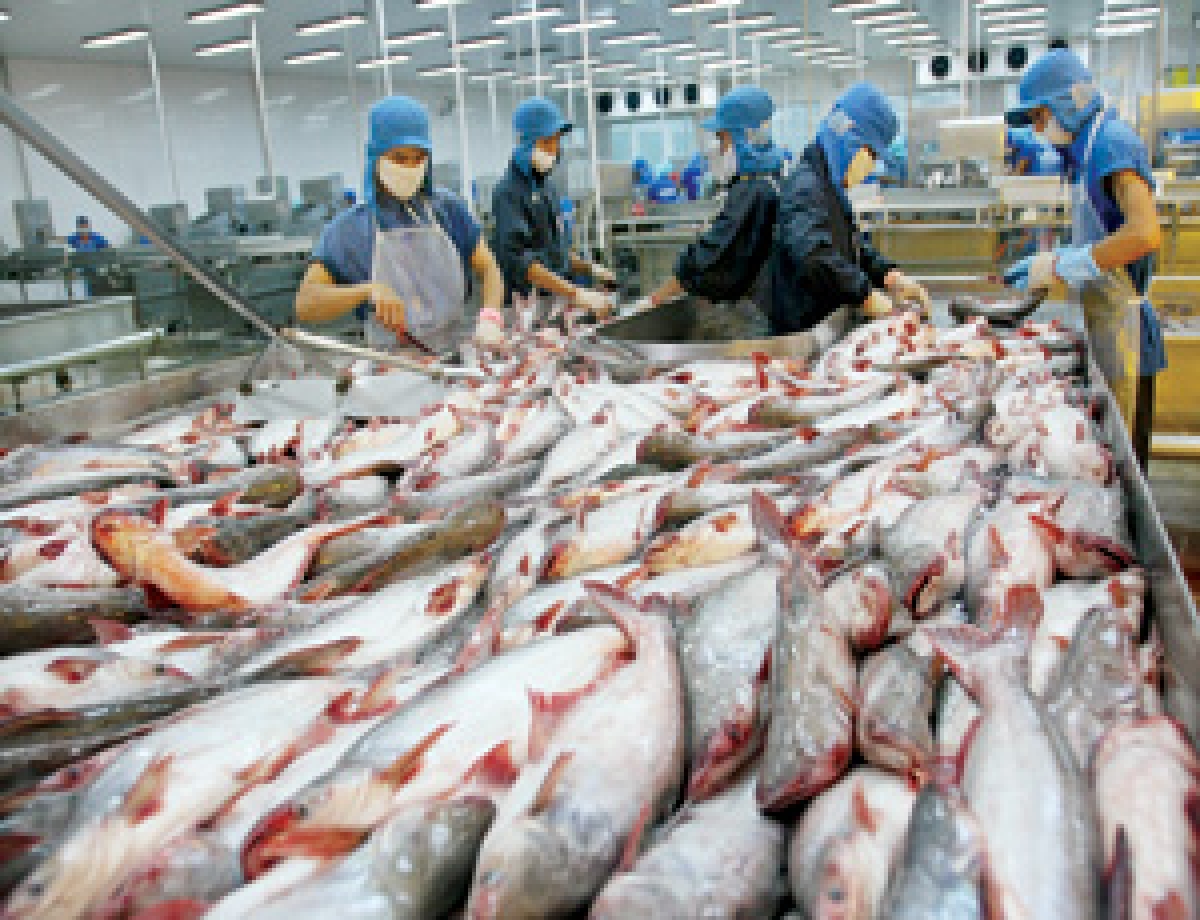 SEAFOOD PROCESSING ORDER