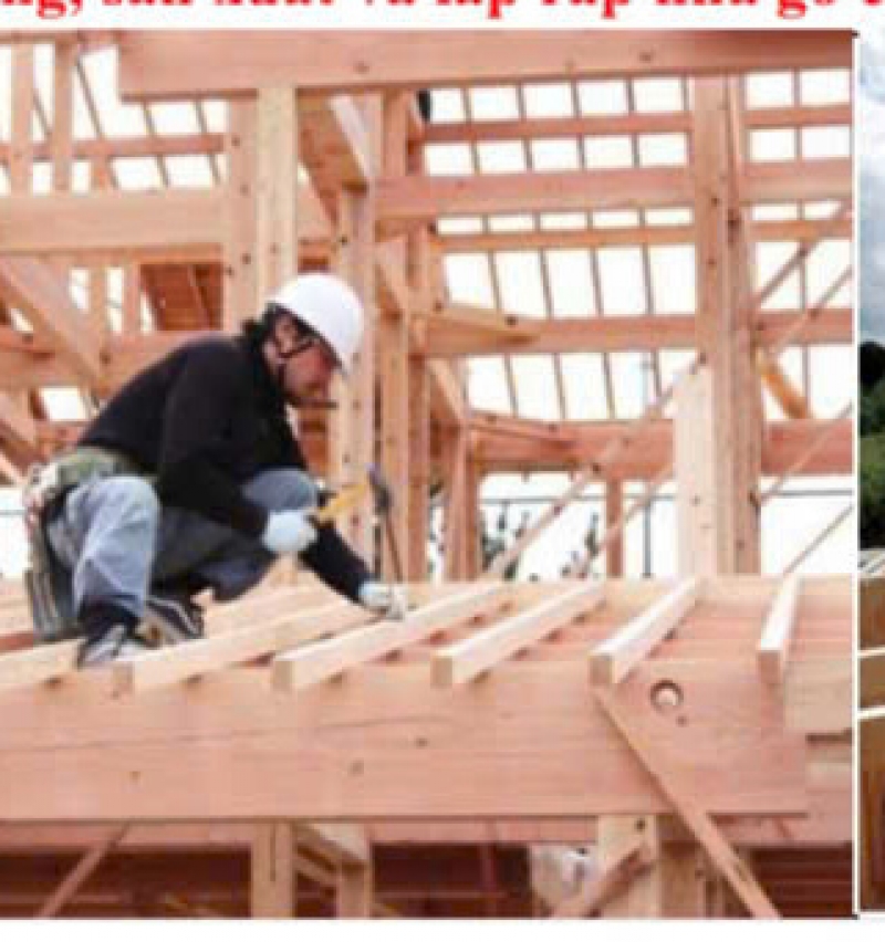 CẦN TUYỂN TTS NGÀNH MỘC LÀM VIỆC TẠI NHẬT