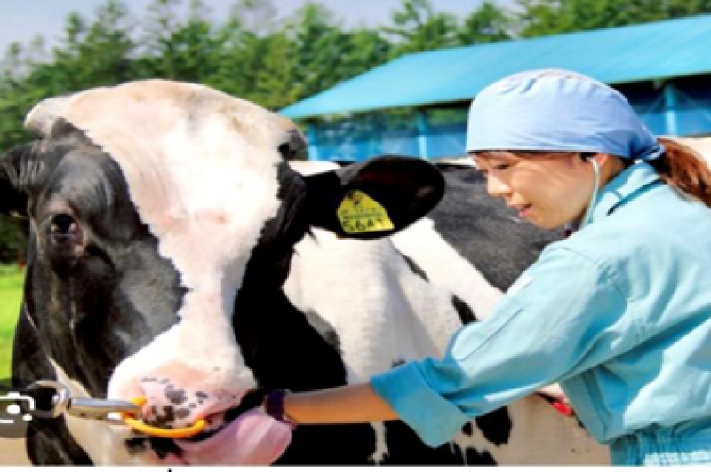 KỸ SƯ TH&Uacute; Y PV TH&Aacute;NG 5/2024